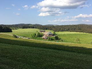 Schwarzwald Urbauernhof