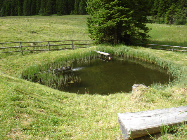 Teich vor der Hütte