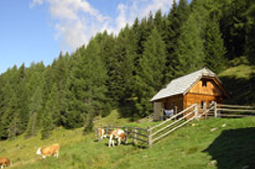 Hirschhütte